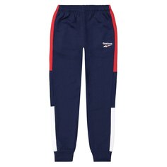 Брюки Reebok Big Heritage Long, синий