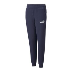 Спортивные брюки Puma Essentials+2, синий