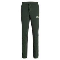 Спортивные брюки Jack &amp; Jones Gordon Miles, зеленый