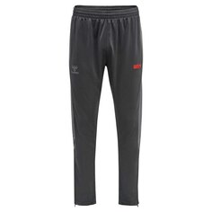 Спортивные брюки Hummel Pro Grid Poly, серый