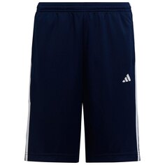 Спортивные шорты adidas Tr-Es 3S, синий