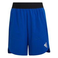 Спортивные шорты adidas Designed For Sport Aeroready, синий