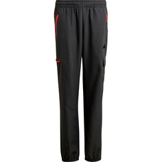 Брюки adidas Sportswear Ce Q2 Cargo, черный