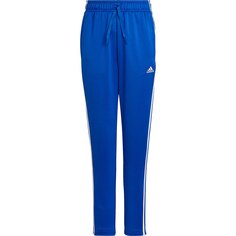 Брюки adidas Sportswear 3 Stripes, синий