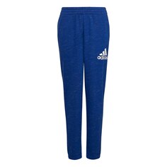 Брюки adidas Sportswear Bos, синий