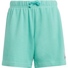 Спортивные шорты adidas L Knit, зеленый