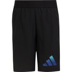 Спортивные шорты adidas Ti, черный