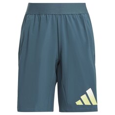 Спортивные шорты adidas Icons Aeroready Logo Woven, синий