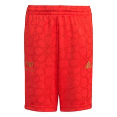Спортивные шорты adidas Salah, красный
