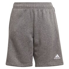 Шорты adidas Tiro 21, серый