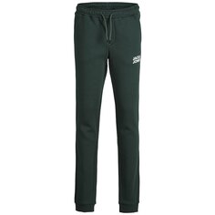 Спортивные брюки Jack &amp; Jones Gordon Newsoft, зеленый