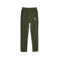 Спортивные брюки Puma Evostripe DK B, зеленый