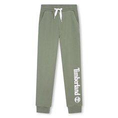 Спортивные брюки Timberland T24C23, зеленый