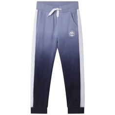 Спортивные брюки Timberland T24C25, синий