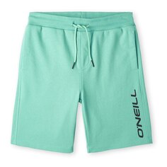 Джоггеры O´neill 4700008 Short, зеленый O'neill