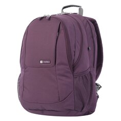 Рюкзак Totto Krimmler 15´´, фиолетовый Тотто