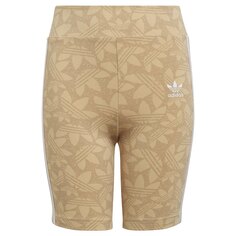 Леггинсы adidas Originals Cyclings Short, бежевый