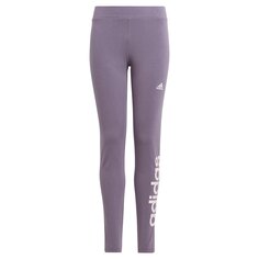Леггинсы спортивные adidas Sportswear Essentials Linear Logo Cotton, фиолетовый