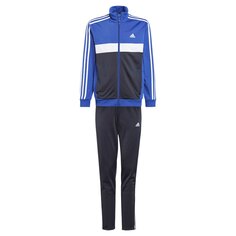 Спортивный костюм adidas Sportswear Essentials 3 Stripes Tiberio, синий