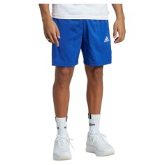 Спортивные шорты adidas 3S Chelsea, синий