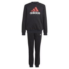 Спортивный костюм adidas Sportswear Essentials Big Logo Fleece Jogger, черный