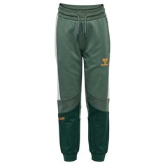 Спортивные брюки Hummel Jason, зеленый