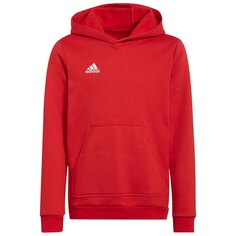 Худи adidas Entrada 22, красный