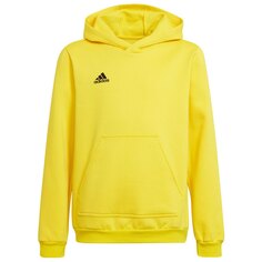 Худи adidas Entrada 22, желтый