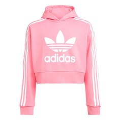 Худи adidas Originals Adicolor Cropped, розовый