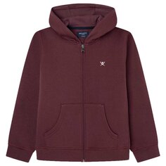 Толстовка Hackett Graphic Full Zip, красный