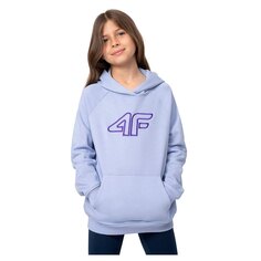 Худи 4F SWEATSHIRT F217, фиолетовый