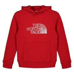 Худи The North Face Biner Graphic, красный