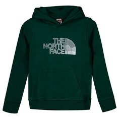 Худи The North Face Biner Graphic, зеленый
