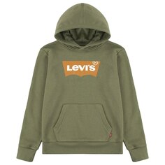 Худи Levi´s Batwing Screenprint Teen, зеленый Levis