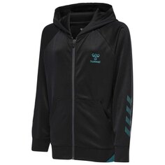 Толстовка Hummel Action Full Zip, черный