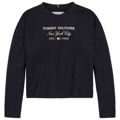 Футболка с длинным рукавом Tommy Hilfiger Tommy Script, синий