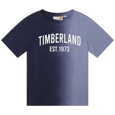 Футболка Timberland T25T96, синий