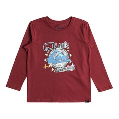 Футболка с длинным рукавом Quiksilver Vintage Feel, красный