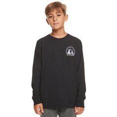 Футболка с длинным рукавом Quiksilver Clean Circle, черный