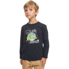 Футболка с длинным рукавом Quiksilver Vintage Feel, синий