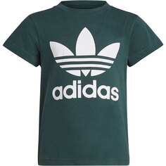 Футболка adidas Originals Adicolor Trefoil, зеленый