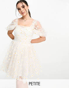 Эксклюзивное мини-платье из тюля Lace &amp; Beads Petite с белыми ромашками и сборками