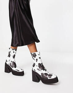 Разноцветные ботинки на массивном каблуке с коровьим принтом KOI Holy