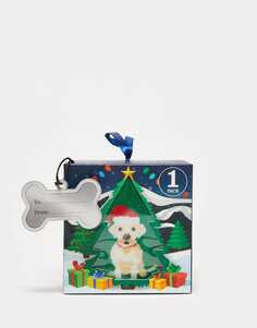 Зеленые рождественские носки для собак Orrsum Sock Company в подарочной упаковке