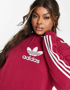 Темно-бордовая худи с трилистником adidas Originals Plus &apos;center stage&apos;