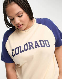 Свободная футболка реглан Daisy Street Plus с вышитой графикой Колорадо