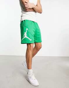 Зеленые флисовые шорты Jordan Jumpman
