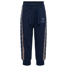 Спортивные брюки Hummel Aidan, синий