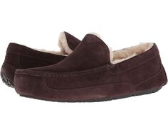 Слипперы Ascot UGG, эспрессо