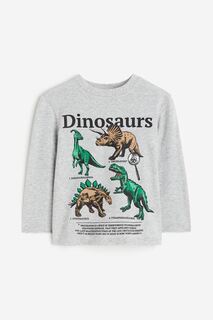 Футболка с длинным рукавом H&amp;M Dinosaurs, светло-серый меланж H&M